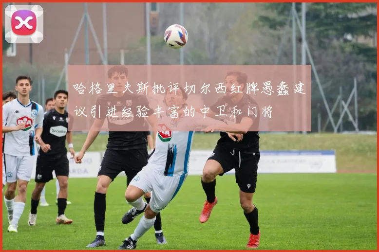 哈格里夫斯批评切尔西红牌愚蠢建议引进经验丰富的中卫和门将