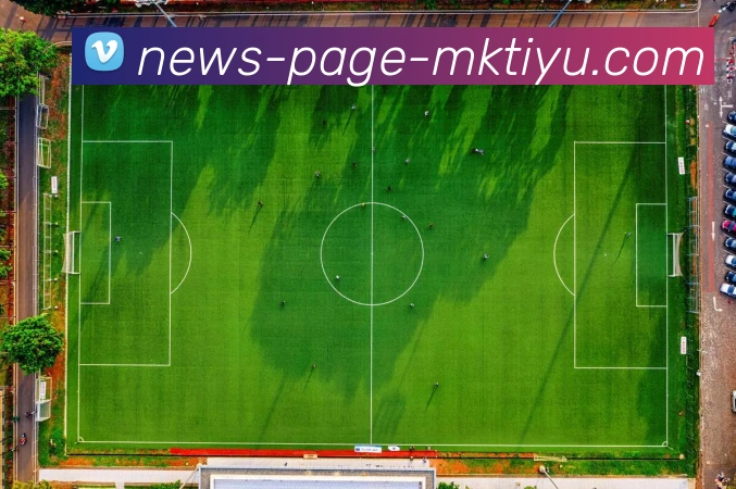 MK体育平台生态图