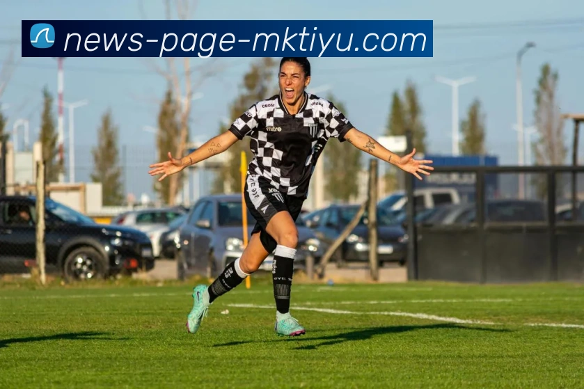 MK体育APP 封面图